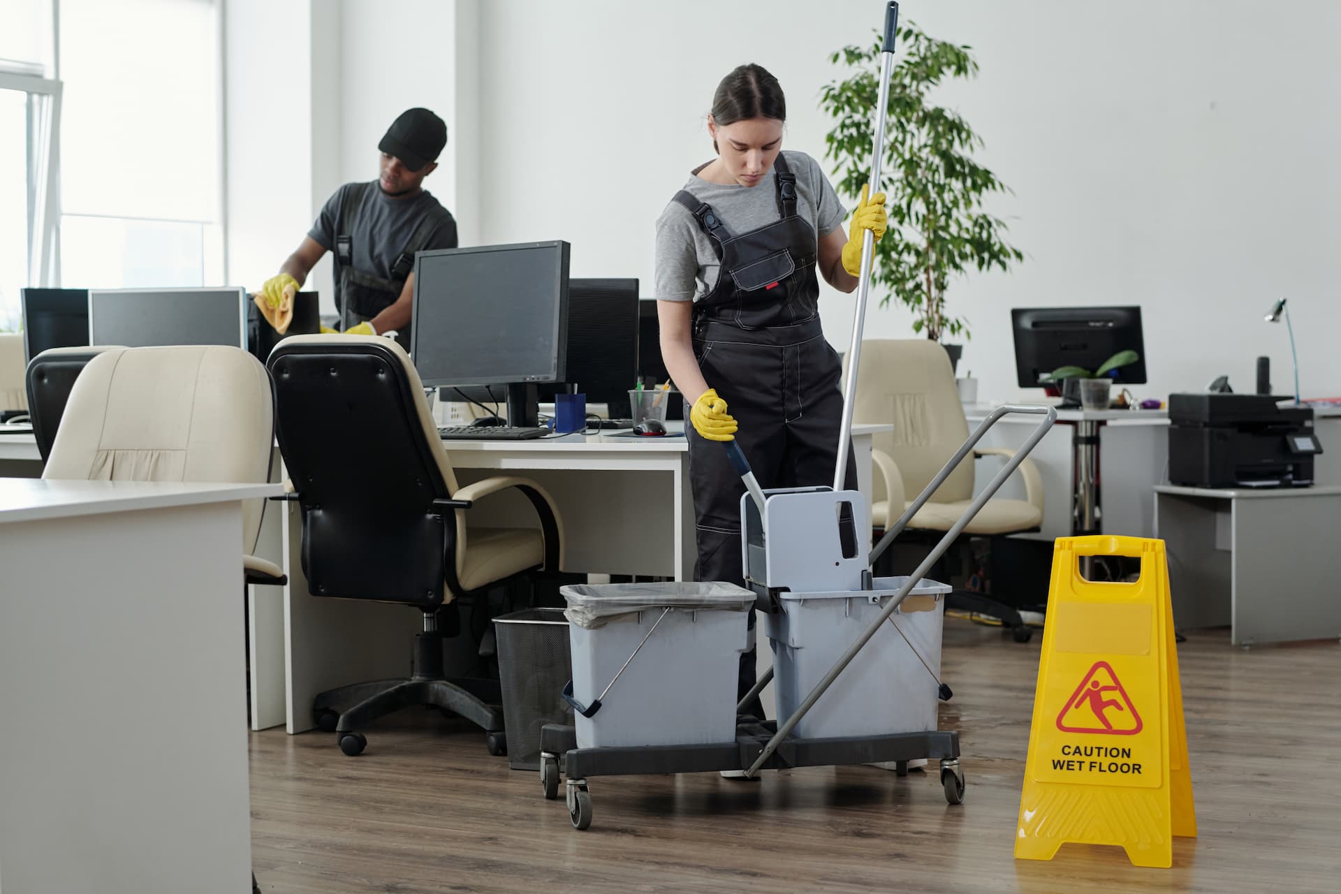 maidenhead cleaning services