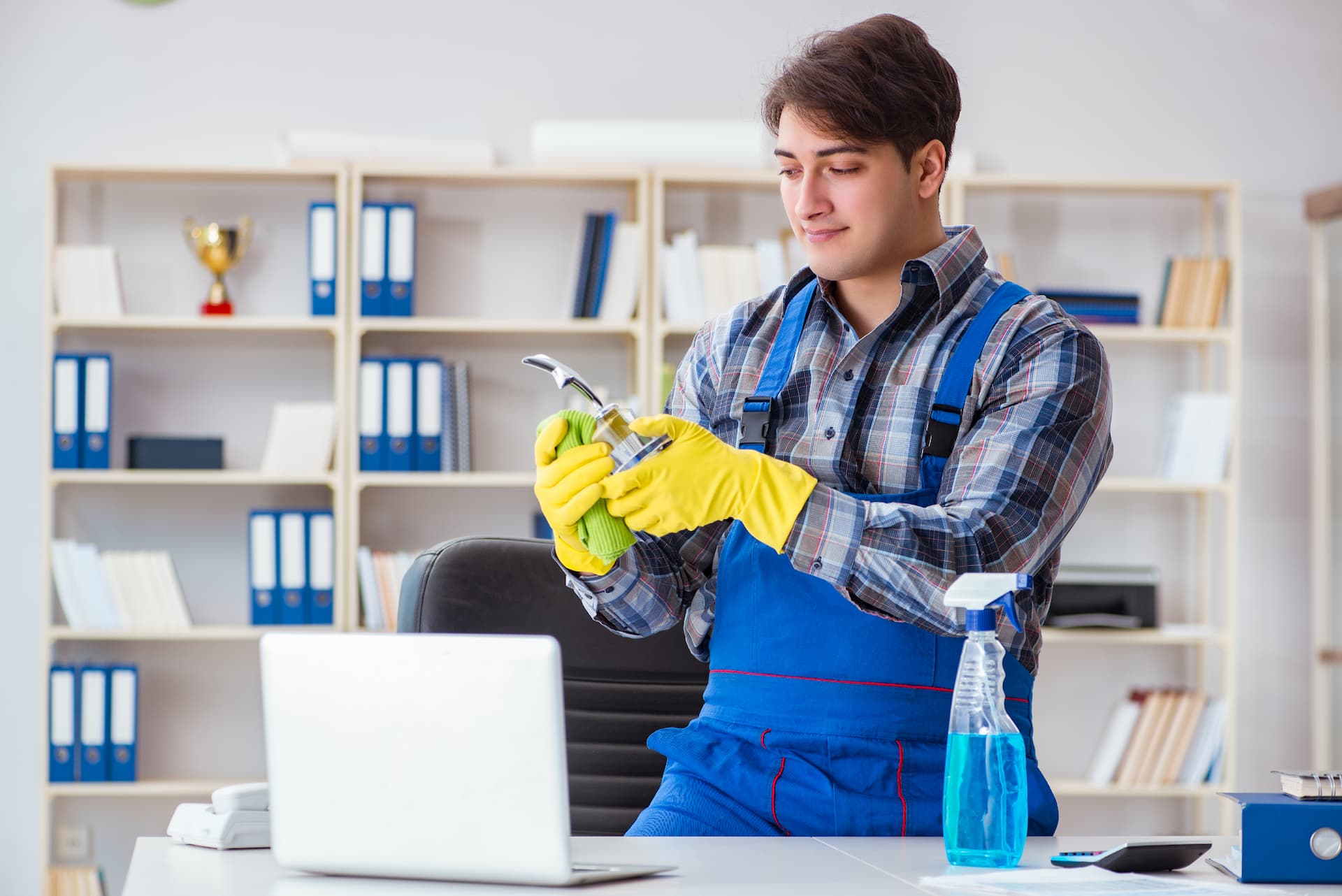 reading cleaning services